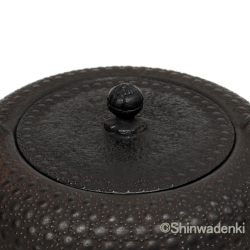 南部鉄器 鉄瓶 清末・清茂作 9型姥口亀甲