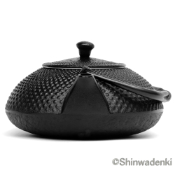 南部鉄器 鉄瓶兼用急須 アラレ（黒）