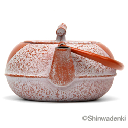 南部鉄器 急須 木の葉