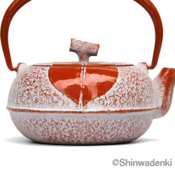 南部鉄器 急須 木の葉