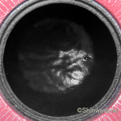 南部鉄器 ティーポット 急須 平丸千筋銀ピンク